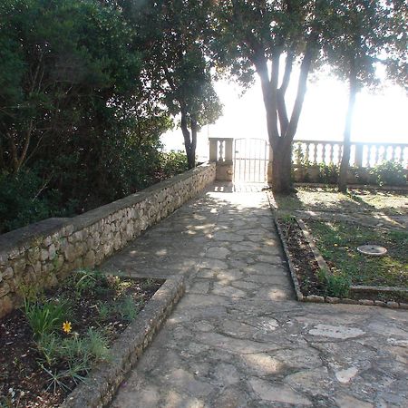 Villa Luna With Seaview Petrčane Kültér fotó